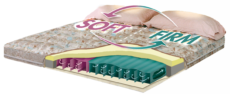 Original Firm/Soft illustration